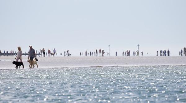 Septembrie 2020, cea mai CLOCOTITĂ lună din istorie! Panica e tardivă