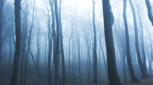 ANM: CEAȚĂ și vizibilitate REDUSĂ în aceste județe