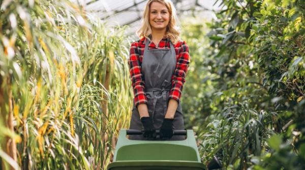 Lege. Condiții de lucru mai bune pentru românii care pleacă în străinătate