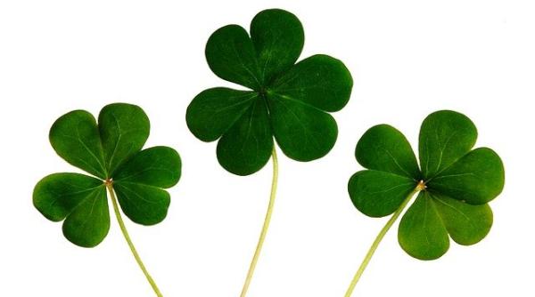 Loteria Română ANUNȚĂ schimbări. Despre ce este vorba 