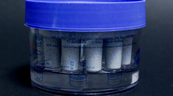 De ce vaccinul Pfizer va fi o provocare pentru România