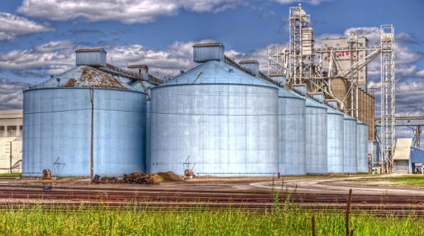 România a exportat peste un milion de tone de grâu în patru luni