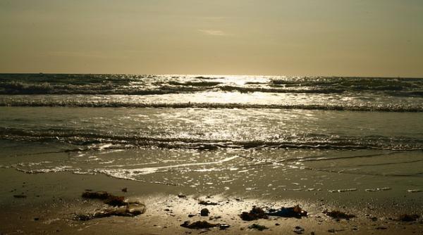 Ministrul Mediului: Regiunea Mării Negre este într-un mare pericol