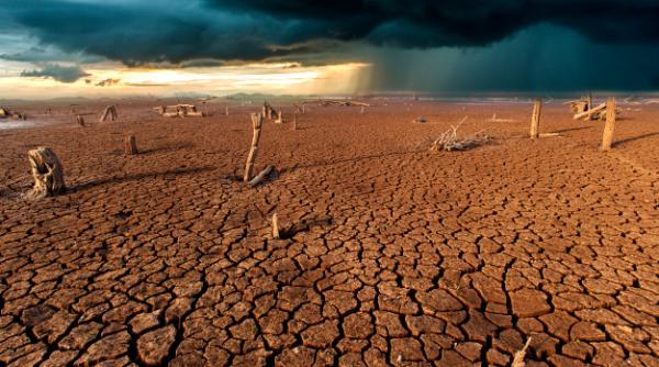 Cercetătorii au calculat: Acesta este cel mai CUMPLIT an din istoria omenirii