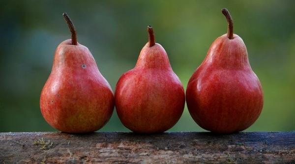 Danemarca a dat lovitura! Proiect IMPRESIONANT! Cel mai mare din Europa 