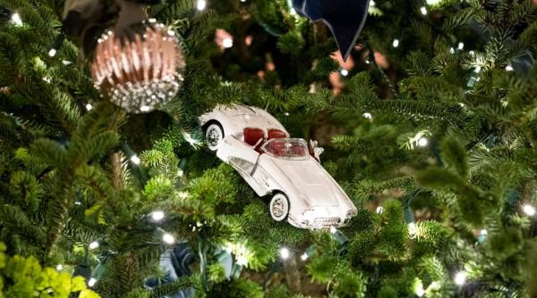 Romsilva scoate la vânzare peste 42.600 de BRAZI