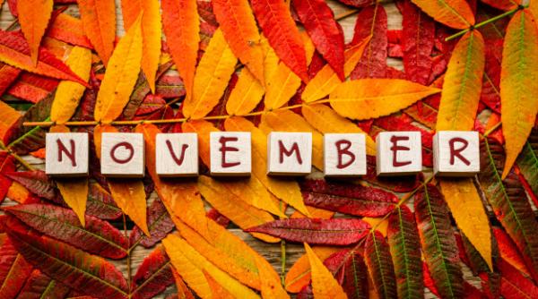 Noiembrie 2020, al doilea cel mai CĂLDUROS "Brumar" din ISTORIE