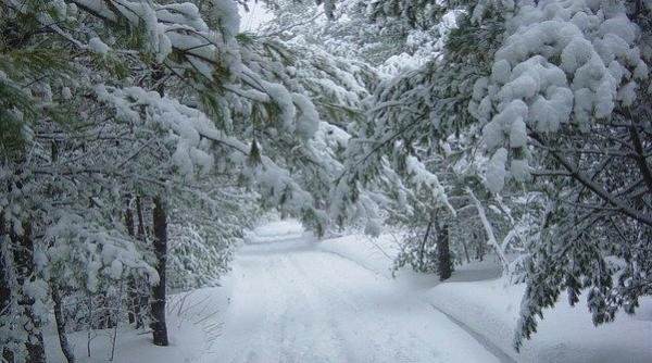 AMN, noi avertizări: Cod portocaliu de viscol și ninsoare