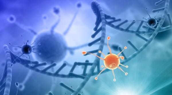 Descoperire FANTASTICĂ. Te scapă de toate INFECȚIILE periculoase