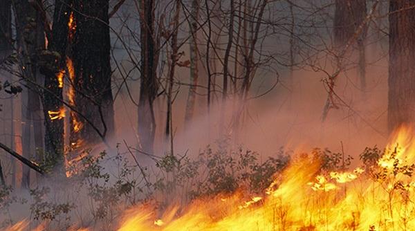 Risc de incendii și inundații în Norvegia