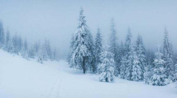 Meteo. Cod galben de vânt puternic în nouă județe