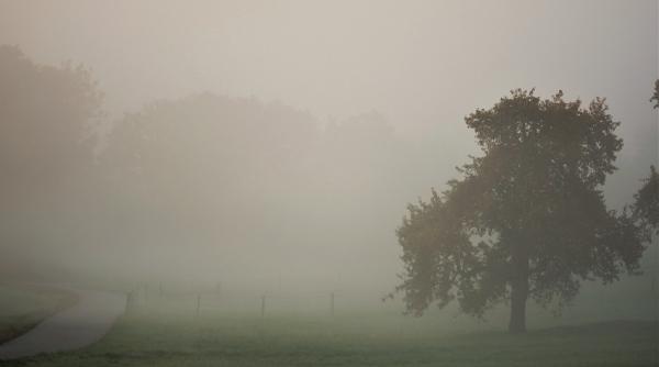 ANM: Cod galben de CEAȚĂ densă şi POLEI