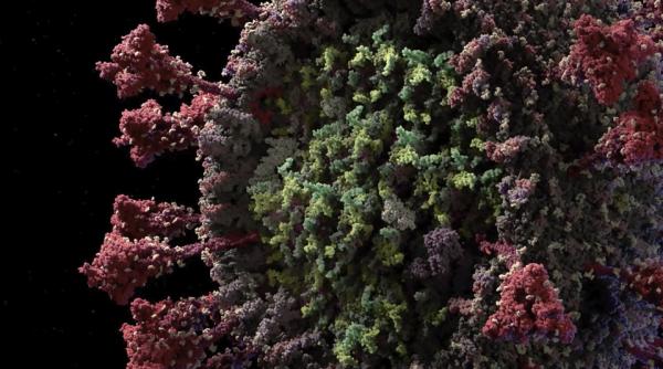 Coronavirus. TULPINA sud-africană. De ce este PERICULOASĂ