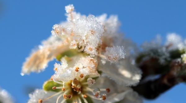 Avertizare ANM. După temperaturi de PRIMĂVARĂ, vine iarna SIBERIANĂ