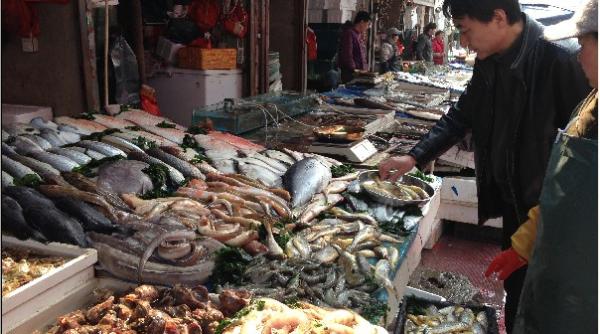 Originea COVID-19. Se prefigurează NOI INDICII