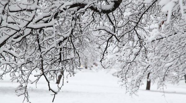 Avertizare ANM. Va fi o seară SIBERIANĂ în aceste județe