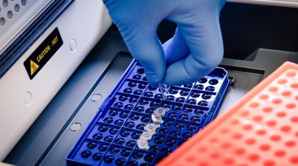 Bilanț COVID-19. Dintr-un total de 1874 de cazuri, 493 sunt numai în București