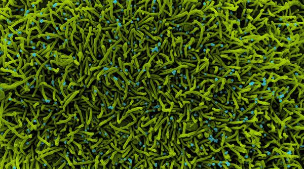 OMS, îngrijorată de simptomele post-Covid