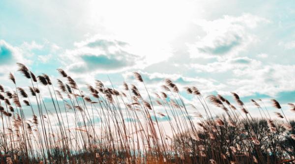 ANM: Cod GALBEN de VÂNT PUTERNIC în 2 județe