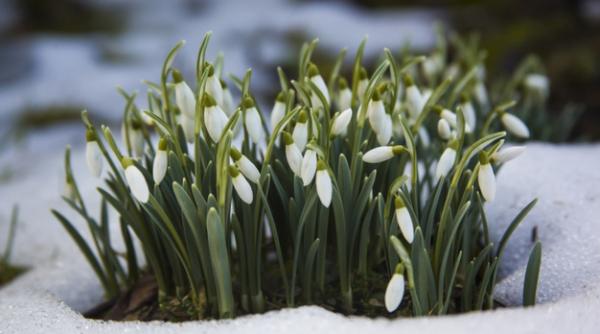 Prognoză meteo până pe 28 februarie. Vremea, în încălzire