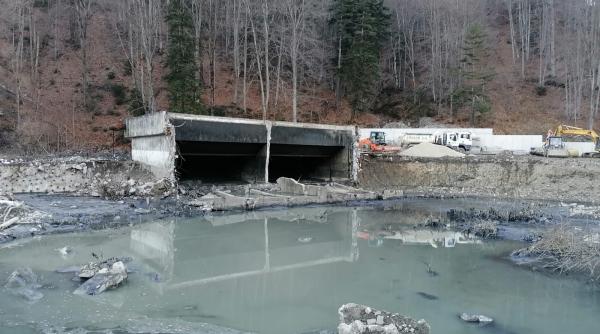 Poluare pe râul Prahova după avarierea unui bazin decantor