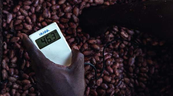 Cacao-Trace™, 10 eurocenți din ﬁecare kg de ciocolată sustenabilă vândută, donați