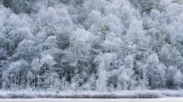 Vremea se schimbă radical. Avertismentul meteorologilor
