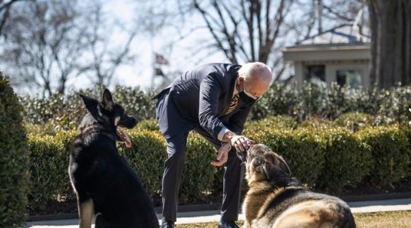 Câinii lui Joe Biden, dați afară din Casa Albă