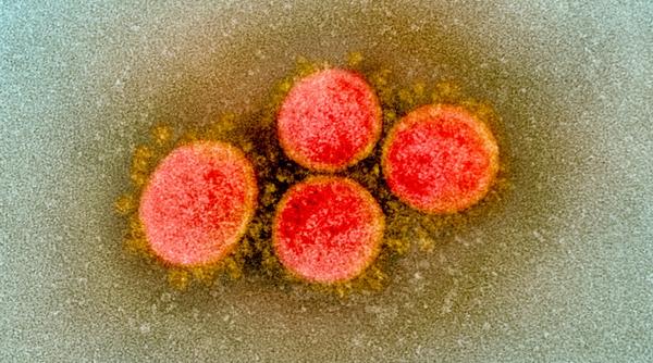 COVID-19. Tulpina britanică, studiu ALARMANT. Cât contează vaccinurile