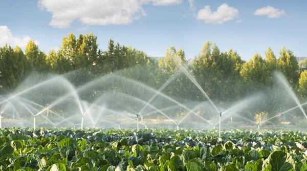 Prognoza meteo pentru AGRICULTURĂ. Ce recomandă meteorologii