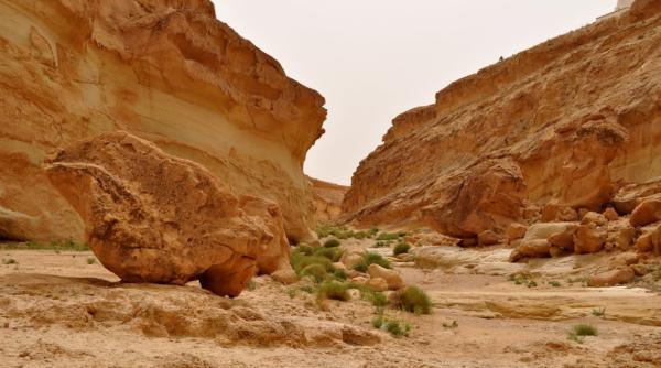 Cursă nebună cu avion militar CARGO prin canionul Star Wars