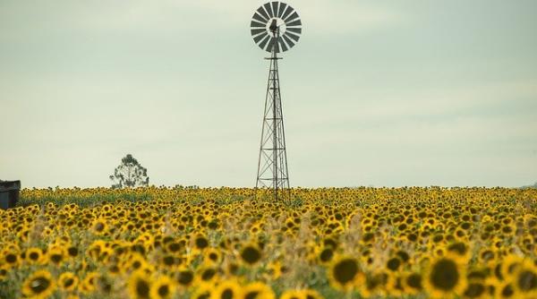 Previziune ÎNGRIJORĂTOARE: NU va mai exista, va DISPĂREA peste 50 de ani