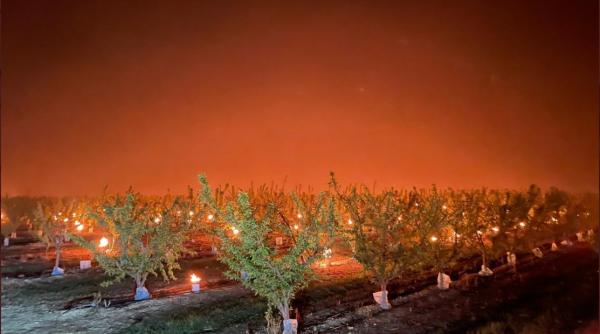 Vinul franțuzesc produs în acest an va fi extrem de scump. Iată de ce (Video)