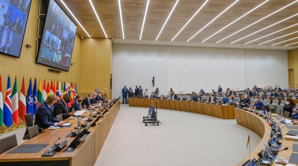 NATO a spus DA! Asta merită RUSIA! O decizie corectă