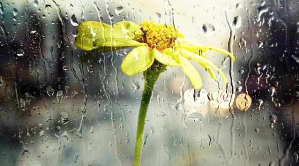 METEO. Soarele ne IGNORĂ, vremea devine CAPRICIOASĂ până pe 2 mai