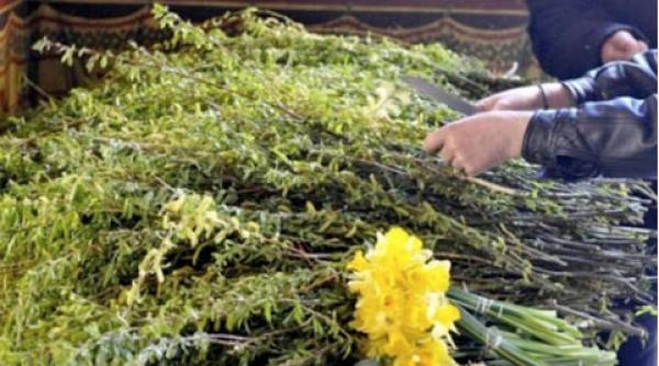 METEO. Cum va fi vremea în Duminica Floriilor