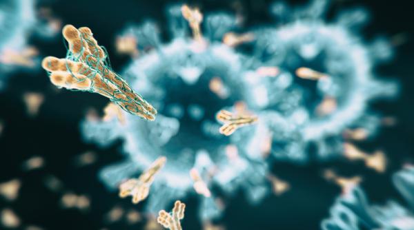 SUPER-ANTICORPUL care TRATEAZĂ bolnavii de COVID