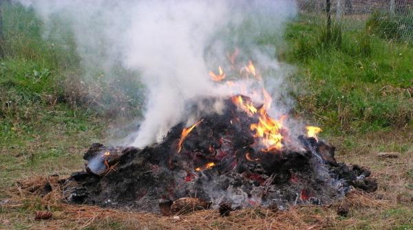 Amenzi URIAȘE pentru GUNOAIE aruncate și grătare în locuri neamenajate