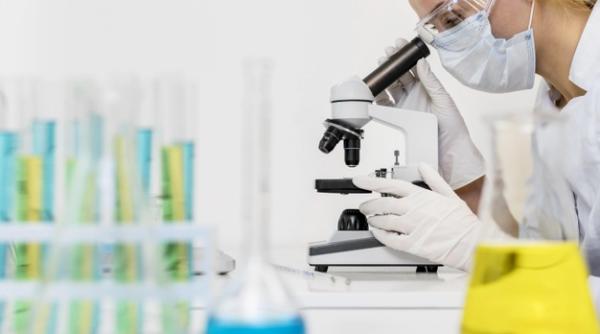 CIUPERCA NEAGRĂ atacă Rusia. Situația ar putea deveni dramatică