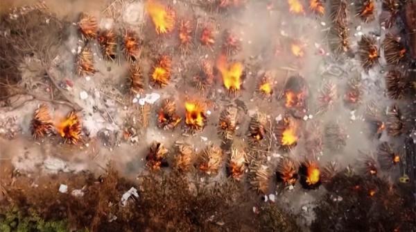 Varianta indiană a expus fragilitatea Marii Britanii