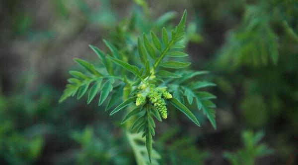 Sector 5: OBLIGAȚIILE celor care dețin TERENURI