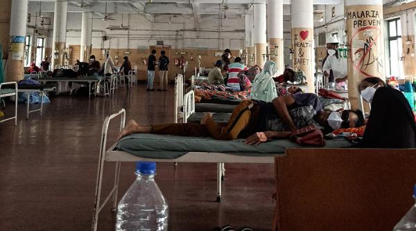 Ciuperca neagră. De ce afectează pacienții cu COVID-19