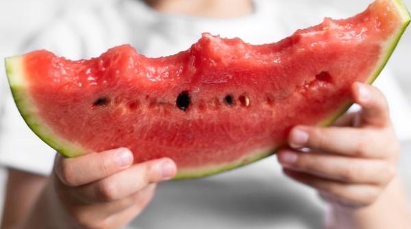 Exportul de pepeni. Care sunt țările care conduc competiția