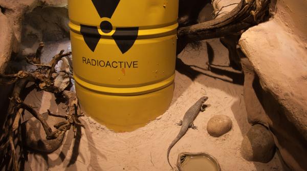 Gaz radioactiv scăpat dintr-un reactor nuclear, în China. O companie franceză a cerut ajutor SUA