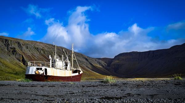 ONU: Următoarea ”pandemie” este mai aproape decât se crede