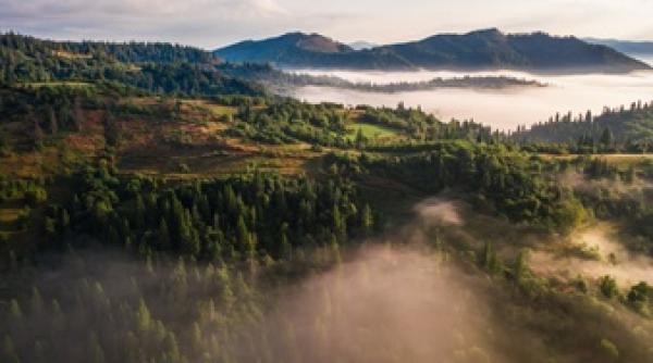 Viața pe Terra. Raport ONU: Ce e mai rău urmează să vină