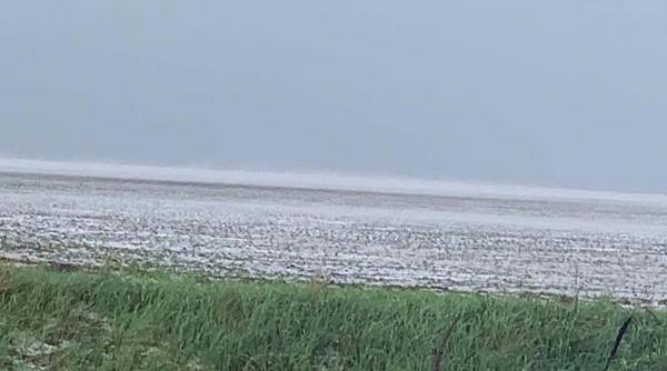 Transilvania, atenție! COD ROȘU de averse și grindină