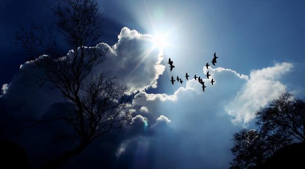 Prognoza METEO pentru 28 iunie - 11 iulie. Ploile TORENȚIALE revin