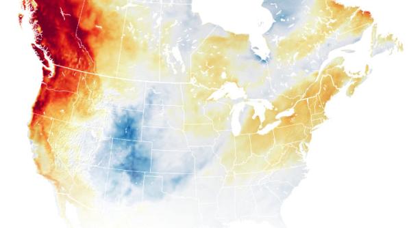 Canada. Aproape 500 de decese subite din cauza caniculei