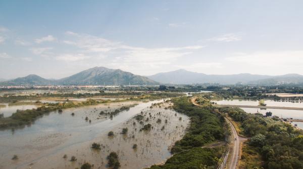 Cod galben de inundaţii până luni la miezul nopţii. În ce județ